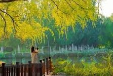 91久久久精品人妻-探索多元视角下的家庭与个人成长,91久久久精品人妻的启示